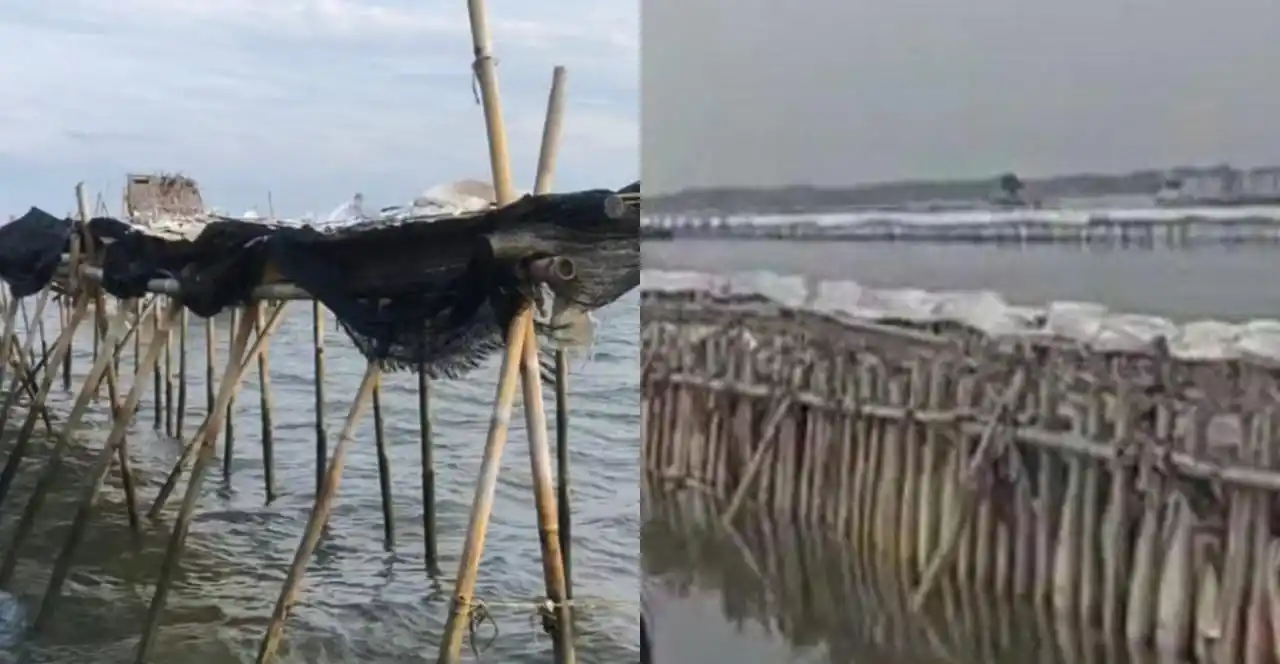 Pagar laut misterius di perairan Tangerang, Banten (kiri) dan pagar laut di perairan pesisir wilayah Tarumajaya, Bekasi, Jawa Barat (Jabar) (kanan) (Foto: Kolase MI)