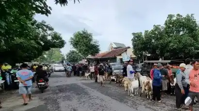 Suasana salah satu pasar hewan di Kabupaten Ponorogo (Foto: Istimewa)