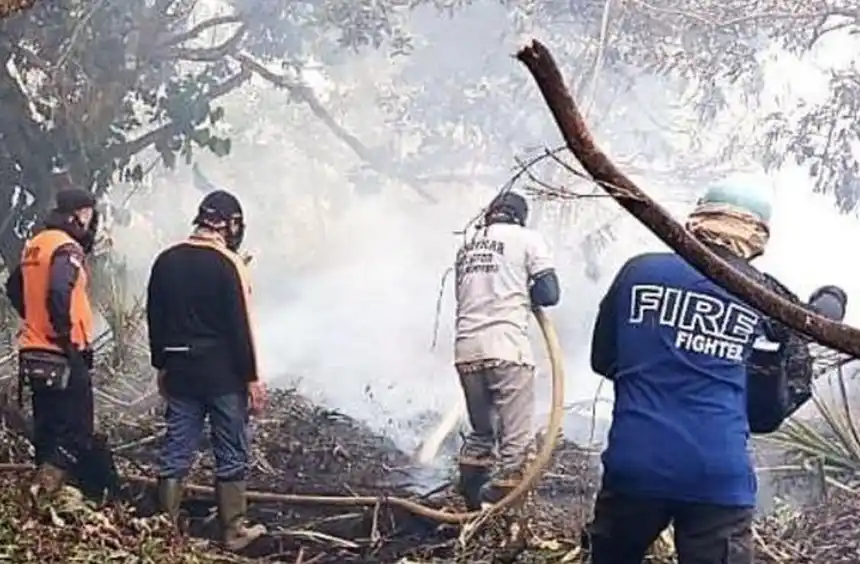 Pemadaman Karhutla di Kalimantan Barat (Foto: Dok BNPB)