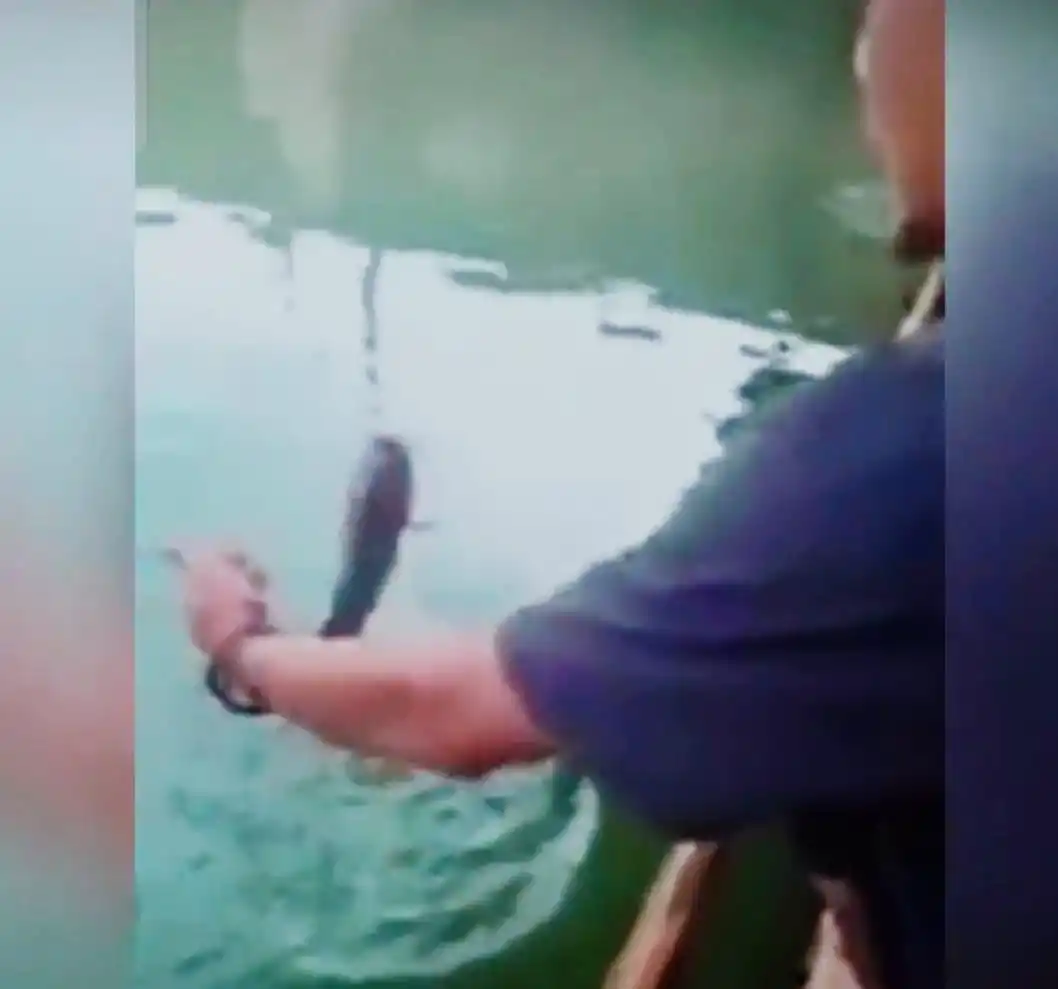 Video Pemancing viral bagikan trik mancingnya (Foto: tangkap layar X)