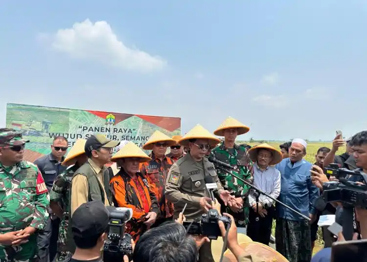Kegiatan Panen Raya Padi Di Kelurahan Sawah Luhur, Kecamatan Kasemen, Di Hadiri Walikota Serang Budi Rustandi, Ketua Umum Pemuda Pancasila Japto Soerjosoemarno dan jajaran serta Kepala Dinas Pertanian dan Peternakan Provinsi Banten Agus Tauchid. Foto: Istimewa