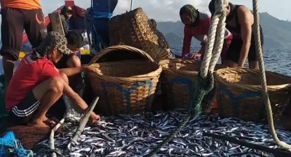 Penerimaan Negara Bukan Pajak (PNBP) dari Sektor Perikanan Tangkap Mencapai Rp966,02 Miliar (Foto: Ist)