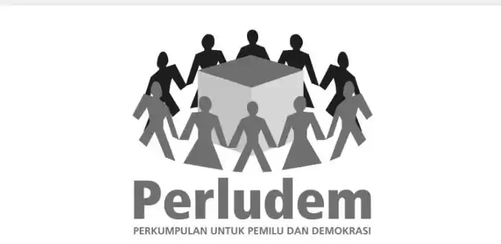 Logo Perludem (Foto: Perludem)