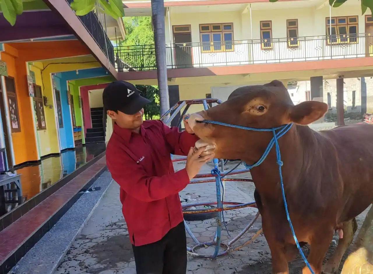 Petugas dari Disnakkan Kabupaten Blitar saat melakukan ante mortem (sebelum disembelih). (Dok/JK-MI)