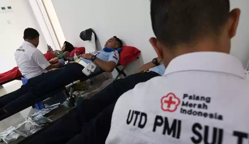 Petugas PMI melakukan transfusi darah pendonor. (Foto: Antara)