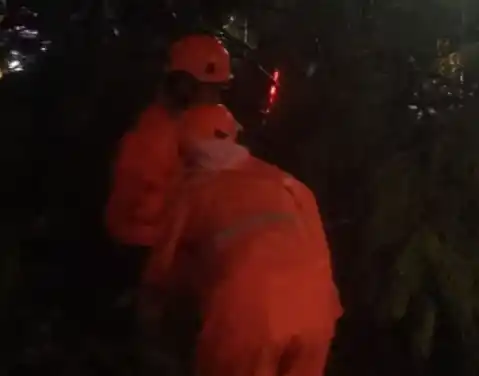 Petugas saat mengevakuasi pohon tumbang di Jakarta, Senin (17/3/2025). [Foto: Doc. BPBD DKI Jakarta]