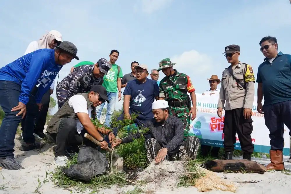 PT Timah Tanam Pohon Peneduh di Kawasan Wisata Batu Tunggal [Foto: Doc. PT Timah]