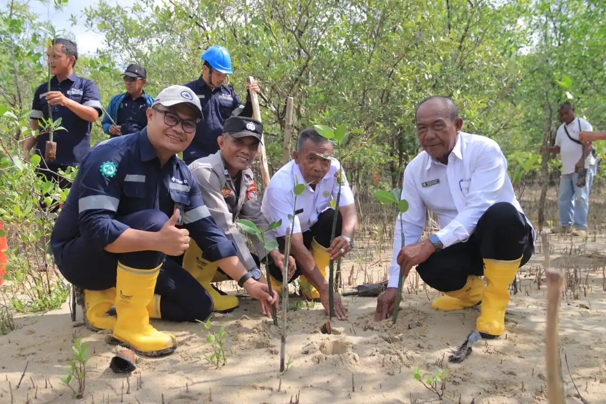 PT Timah Tanam 2500 Bibit Mangrove di Karimun [Foto: Doc. MI]
