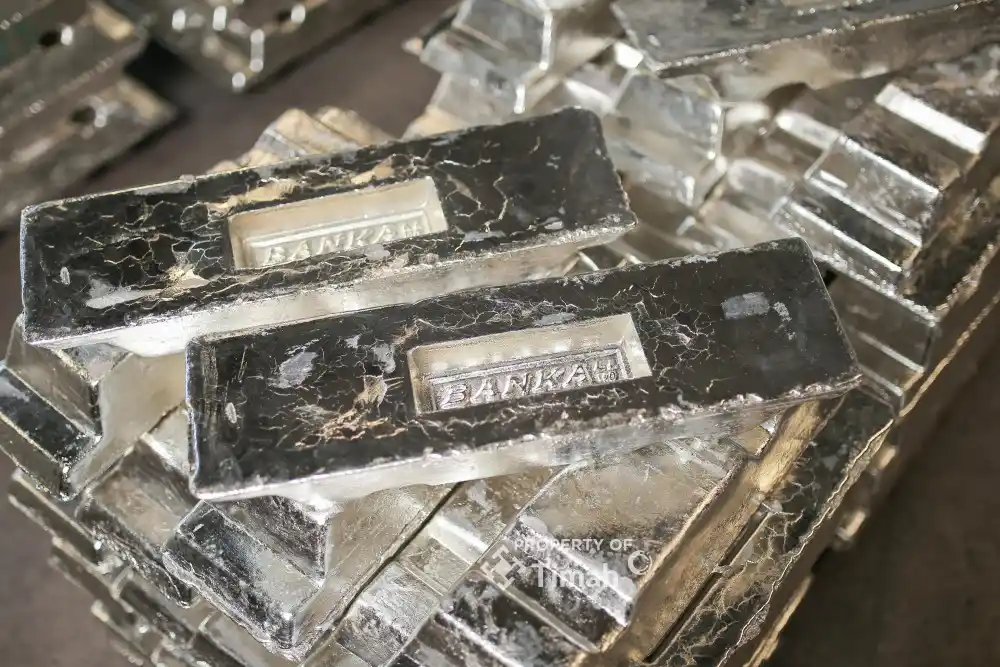 PT TIMAH Tbk (TINS) Cetak Laba Bersih Rp 116,86 Miliar di Kuartal I 2025 [Foto: Doc. PT Timah]