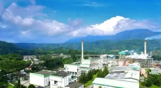 PT Toba Pulp Lestari Tbk (Foto: Ist)