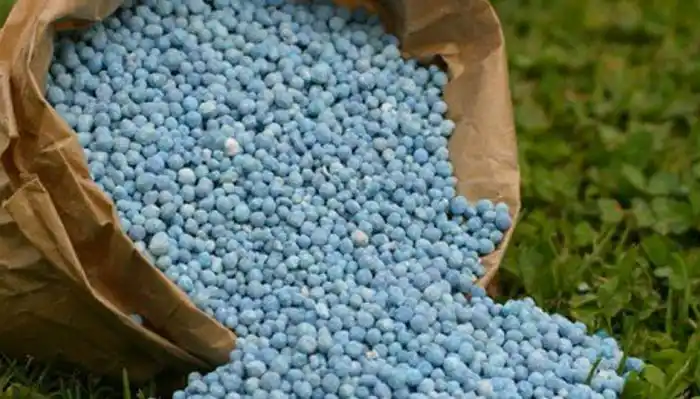 Krisis Pupuk di Indonesia Akibat Stagnasi Produksi Gas Alam (Foto: Ist)