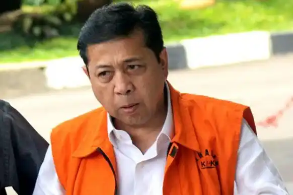 Setya Novanto (Foto: Ist)