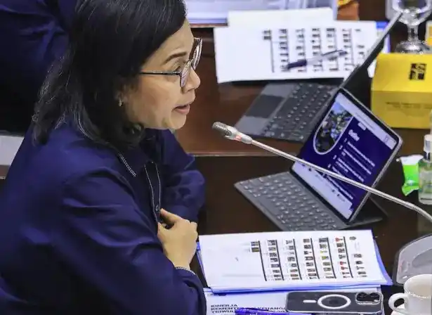 Menteri Keuangan, Sri Mulyani (Foto: Ist)