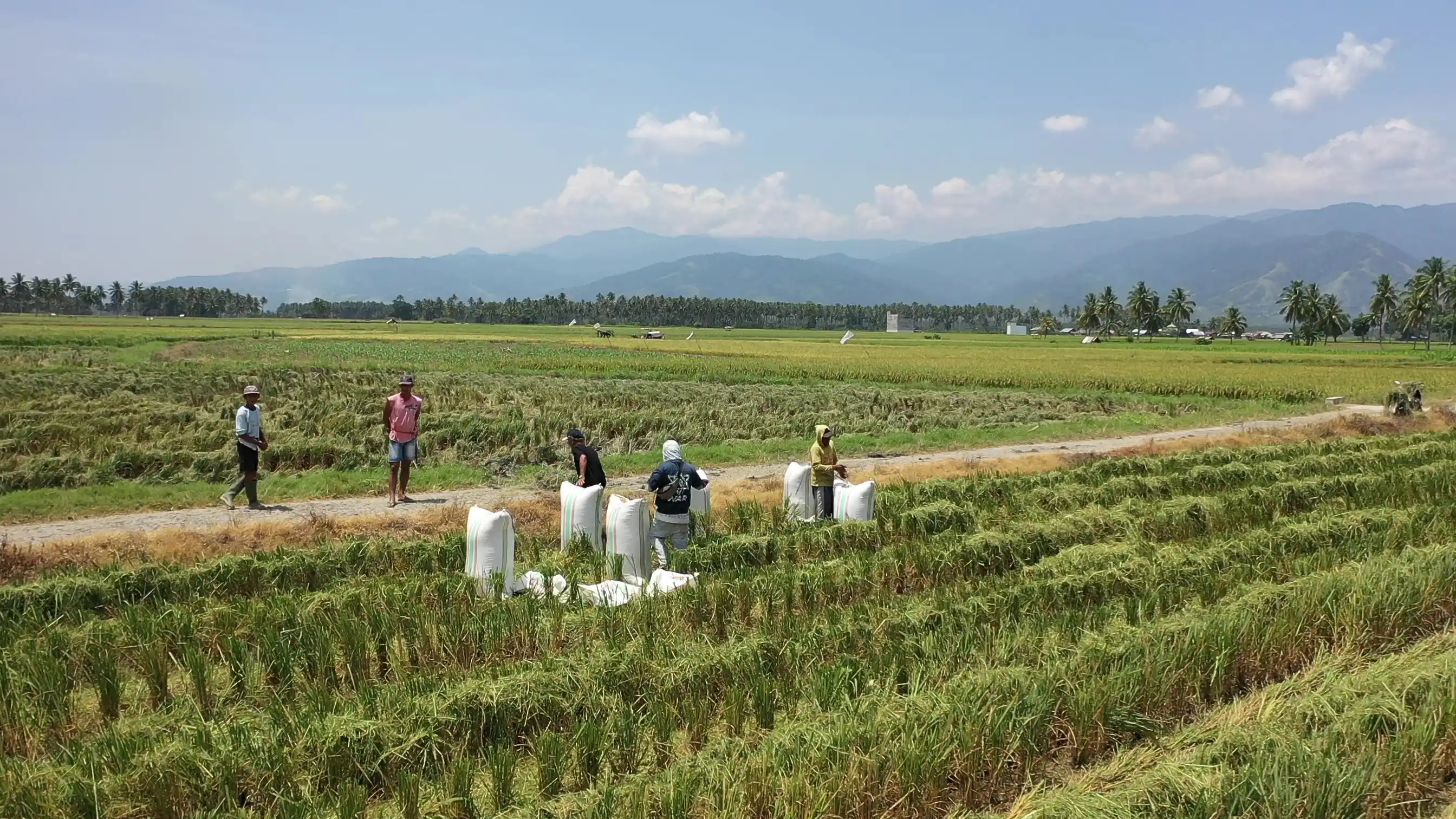 Pindad Dukung Swasembada Pangan Nasional (Foto: Ist)
