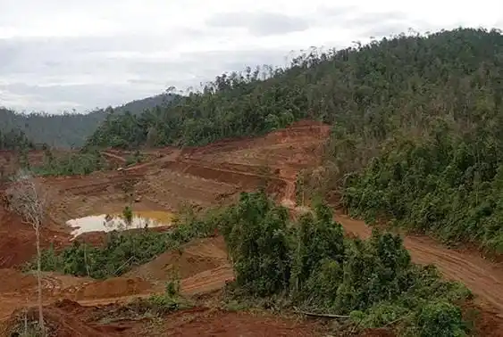 Tambang di dawasan hutan di Blok Matarape Konawe Utara (Konut) diduga ilegal. Foto: Dok MI/Walhi Sultra
