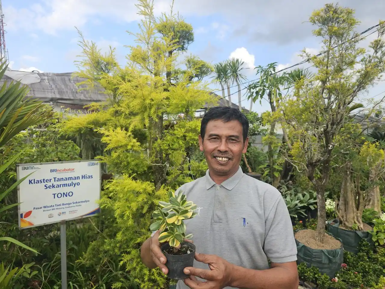 Kisah Klaster Usaha Tanaman Hias Binaan BRI [Foto: Doc. BRI[