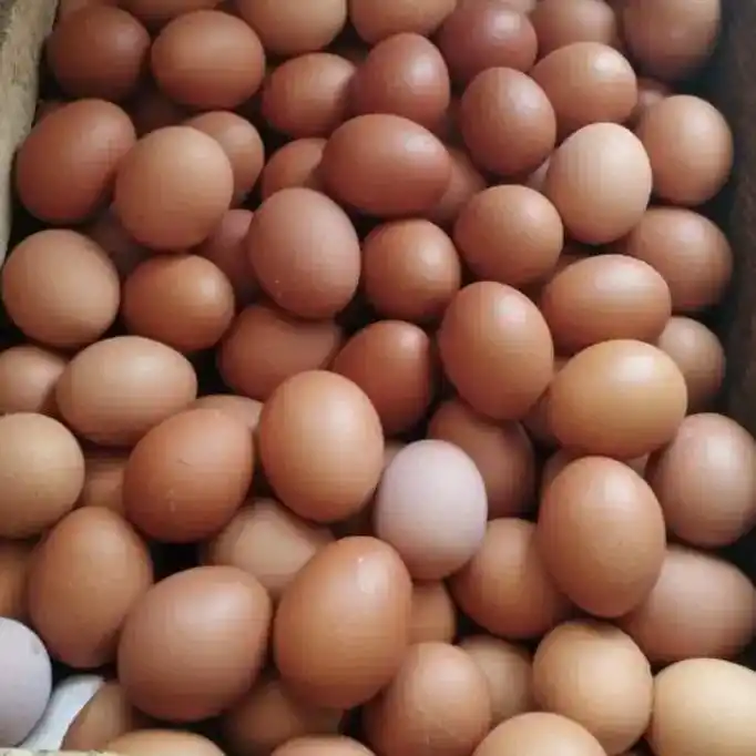 Harga telur ayam ras mengalami kenaikan pada hari ini, Minggu (25/5/2025) (Foto: Dok MI)