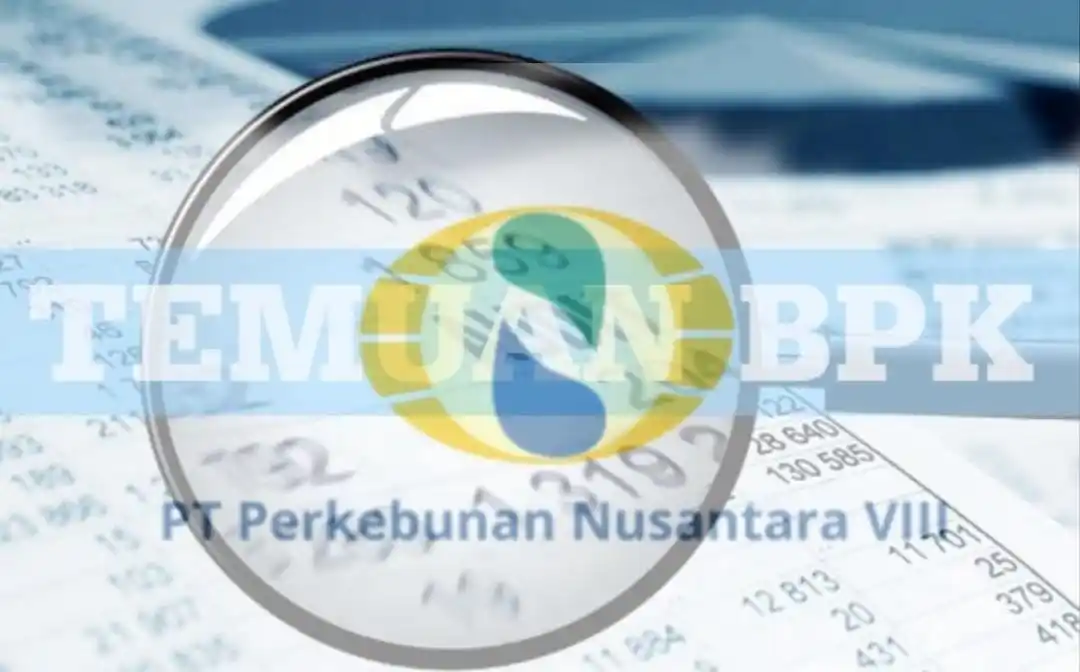 Ilustrasi - Temuan BPK -  PTPN VIII (Foto: Dok MI/Olahan)