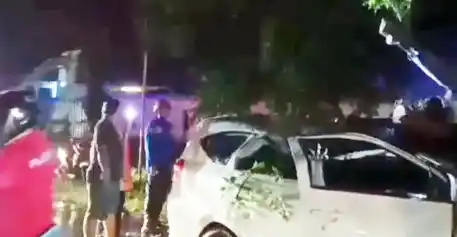 Minibus Tertimpa pohon tumbang di Kalianda, Lampung Selatan (Foto: Istimewa)