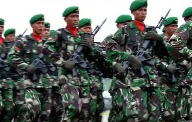 Illistrasi Personel TNI (Foto: Istimewa)