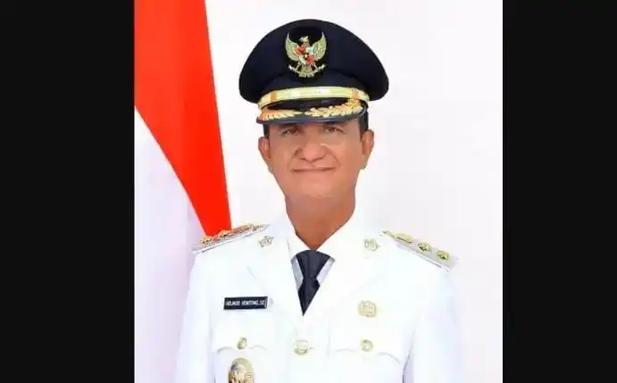 Wakil Bupati Kepulauan Sangihe, Helmud Hontong (Foto: Istimewa)